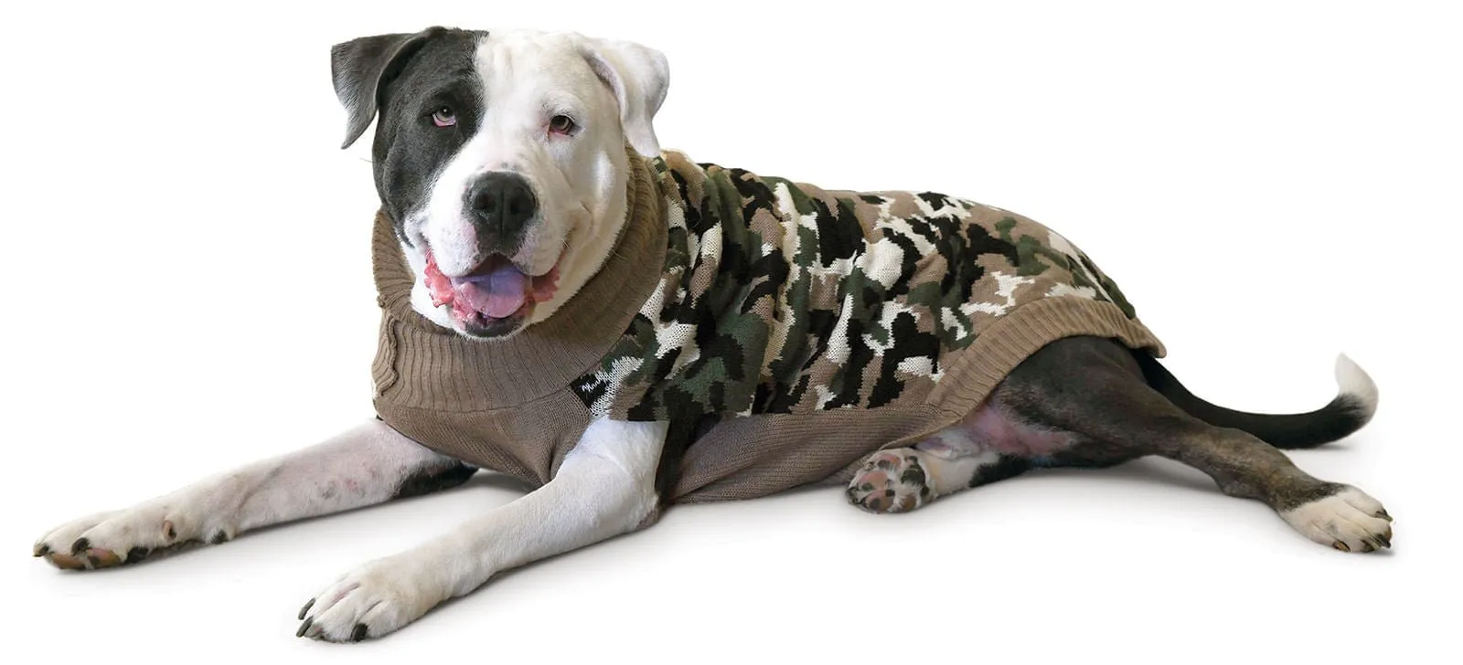 Camouflage Dog Sweater