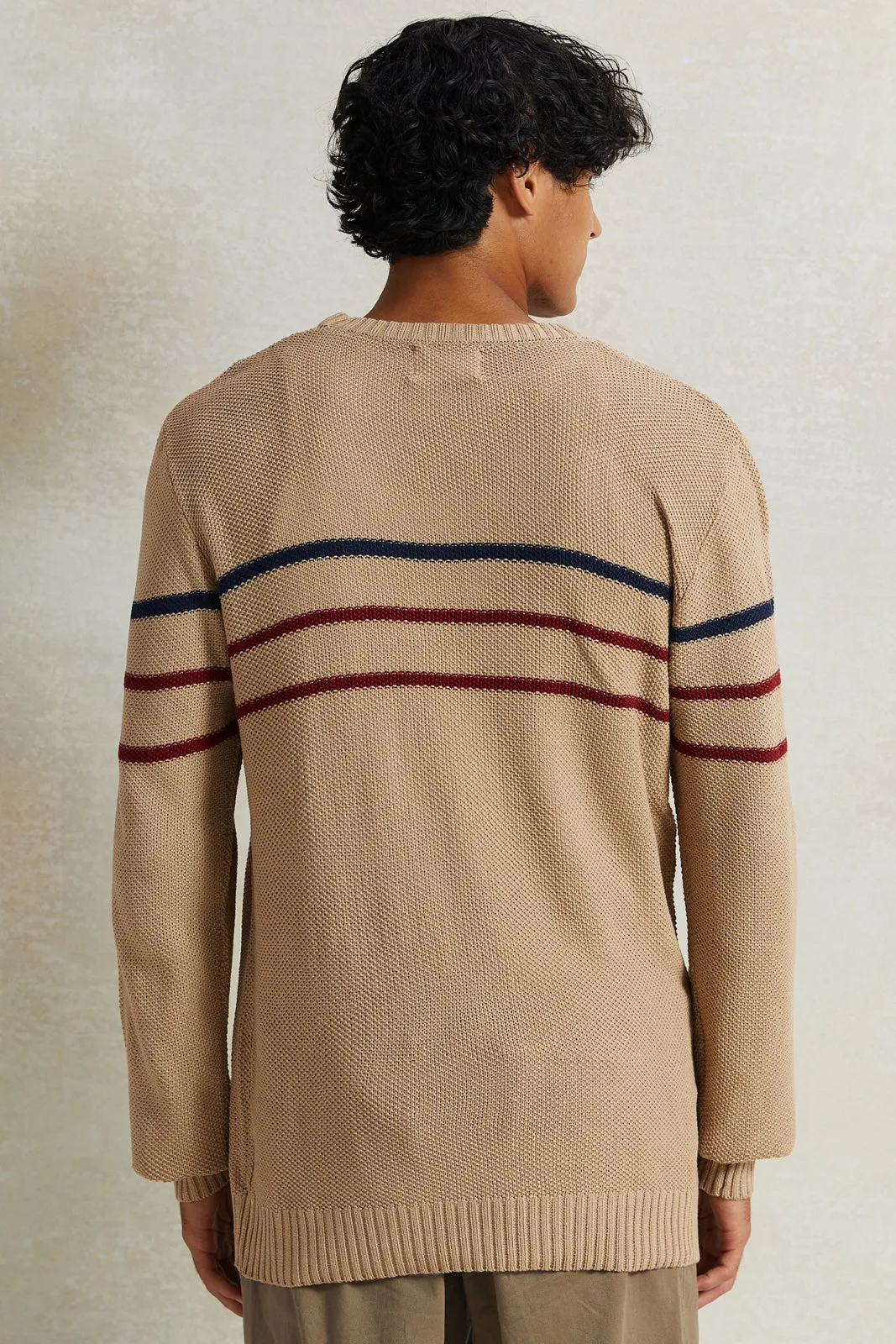 Men Beige Striped Pullover