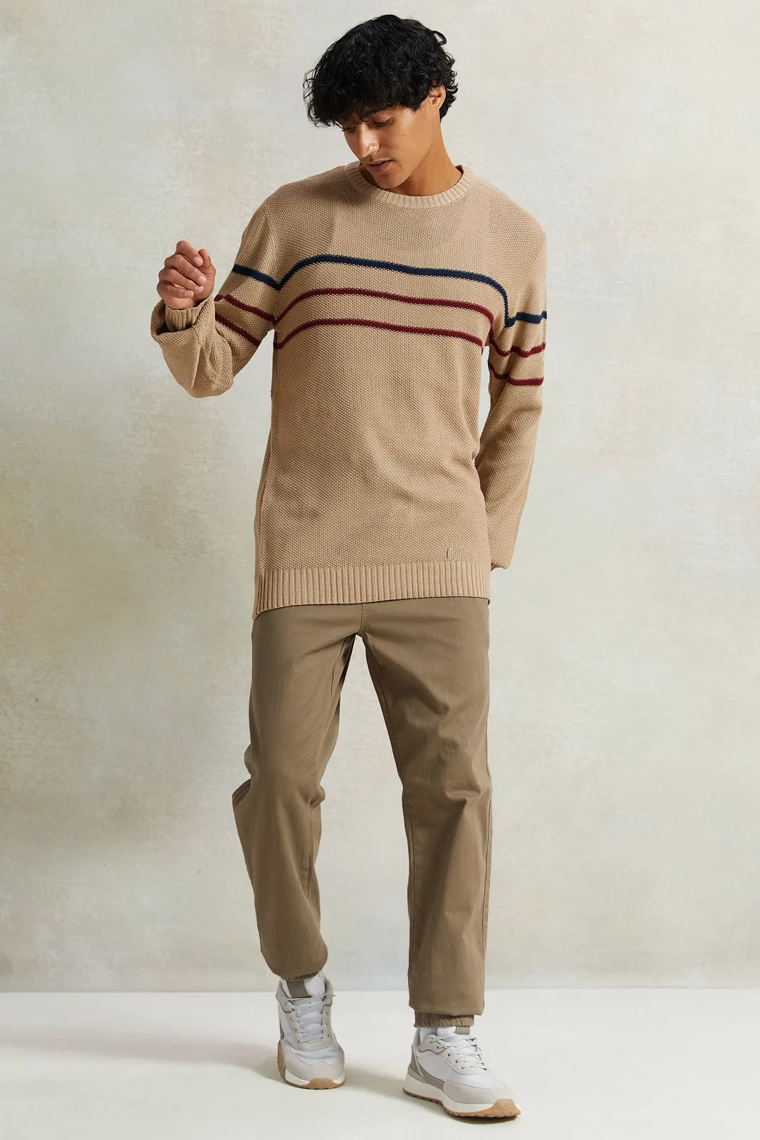 Men Beige Striped Pullover