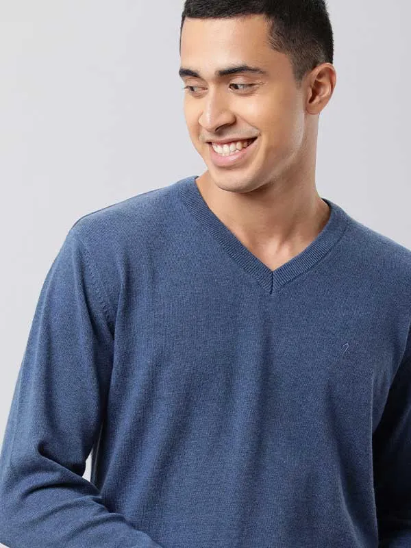 Men Solid Full Sleeve V-Neck Sweater